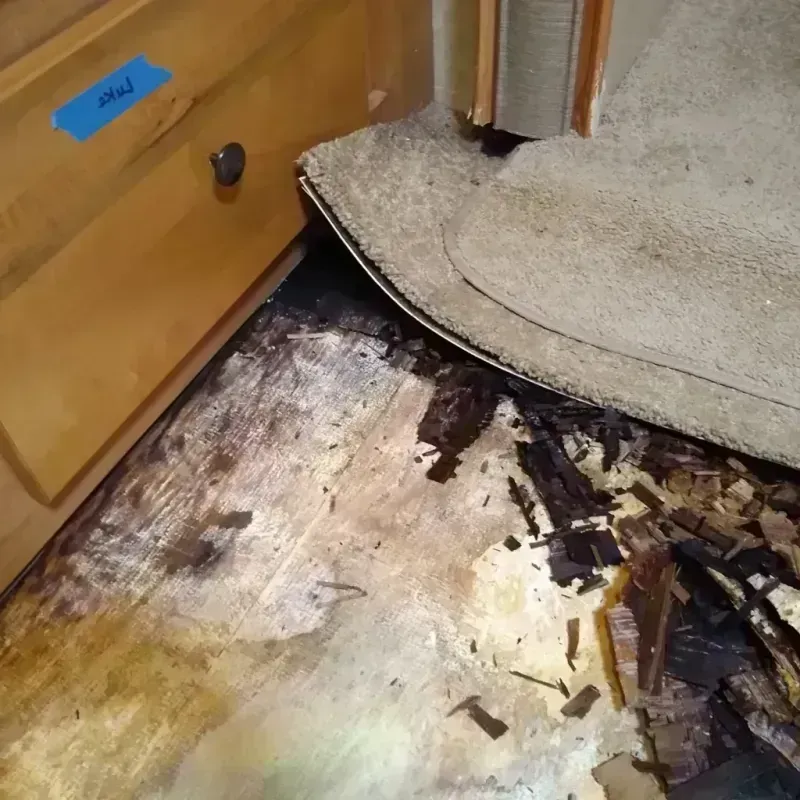 Wood Floor Water Damage in Tremont, IL